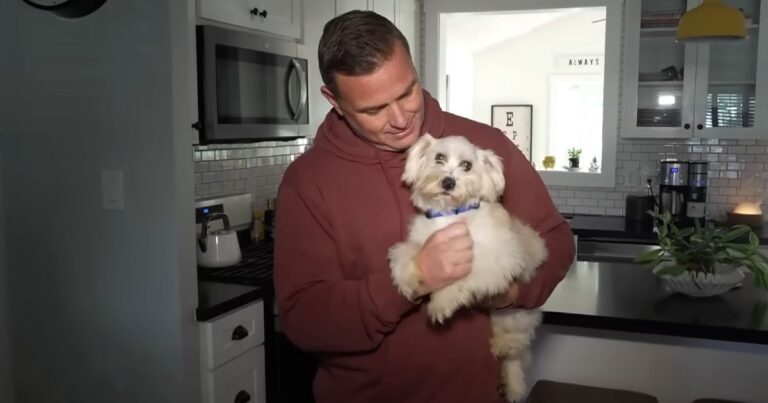 police officer adopts puppy