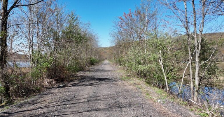 Millions in state funding will help bolster recreation and conservation projects in Northeast and Northcentral Pa.