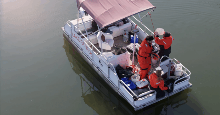 Scientists say Trump's second term has been defined by slashed funding, layoffs and uncertainty