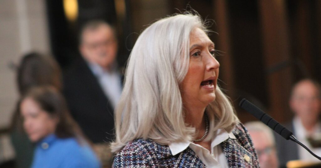 Legislature debates who should pay for state mandates