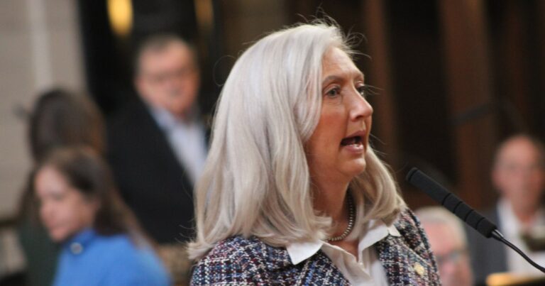 Legislature debates who should pay for state mandates