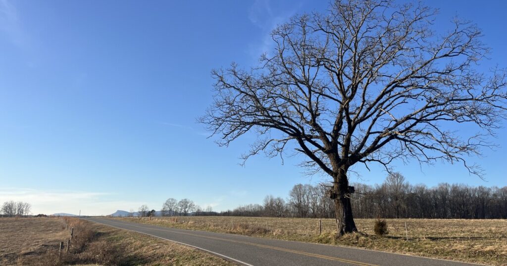 Historic land at crux of Stokes County data center controversy