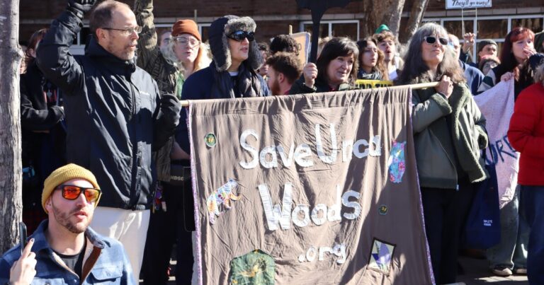 UNC Asheville forms committee to plan the future of its Millennial Campus