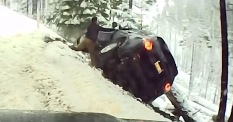 soldier saves couple