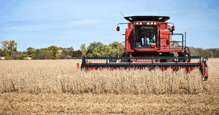 Calls about financial strain are increasing as farmers wait for federal assistance
