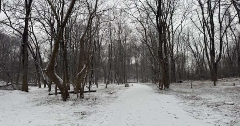 How the regional electric grid handles extreme cold — with a lot of fossil fuels