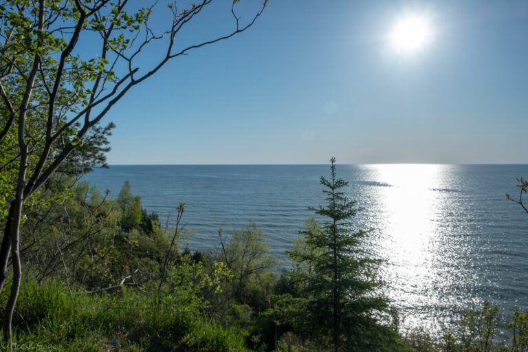 A view of Lake Michigan from Lion