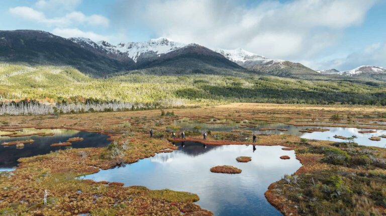 What went right this week: the good news that matters