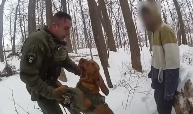 k9 margo finds missing teen