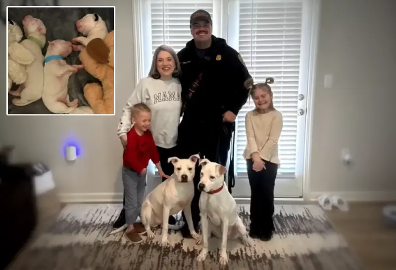 Firefighter Who Rescued Puppies In House Fire Adopts Them