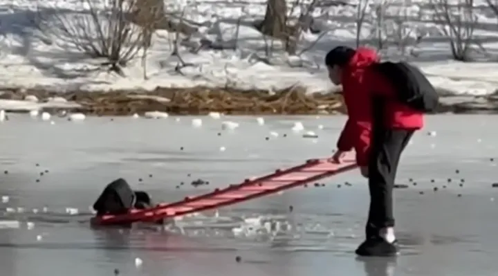 NYC Teen Rescues Child From Frozen Pond