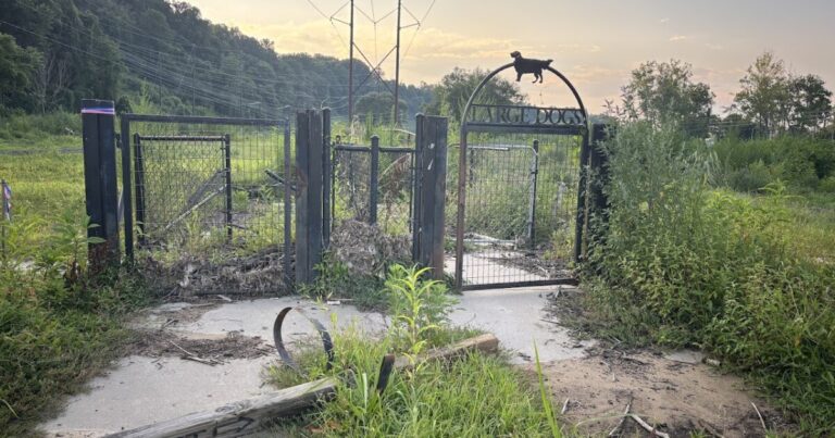 Asheville to unveil proposals for Azalea, French Broad River Park systems