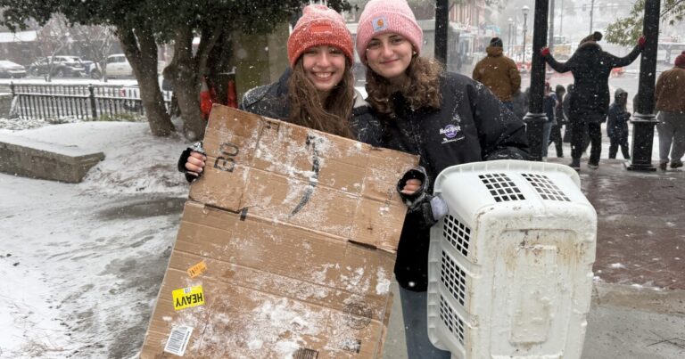 UGA students thrive in snowy conditions