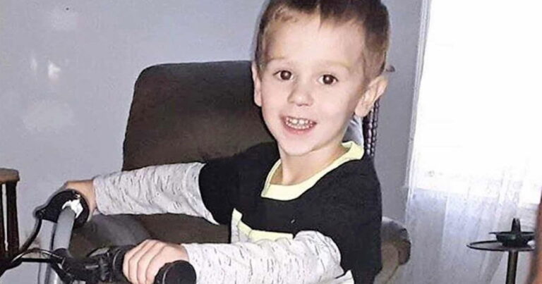 3-Year-Old Boy Who Was Lost in the Woods Says a Bear Kept Him Warm and Safe