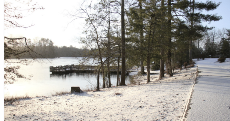 Buncombe County lays groundwork for November bond referenda