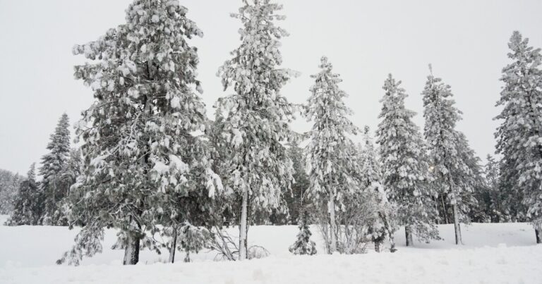 A snowy outdoor scene with a car buried in the snow.