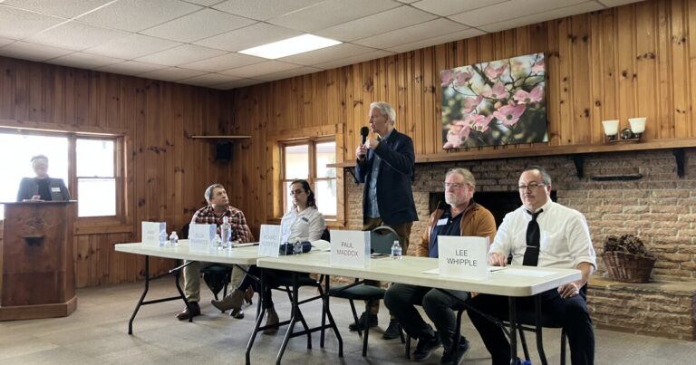 ‘It’s a scary time:’ WNC Democrats voice enthusiasm — and fear — ahead of key congressional primary