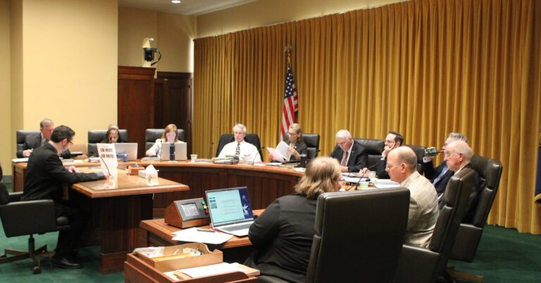 Budget, information for pregnant women debated in Legislature