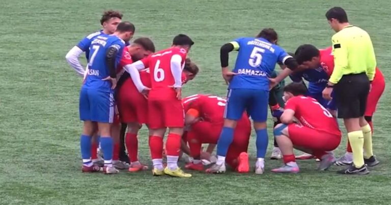 football players save seagull with cpr