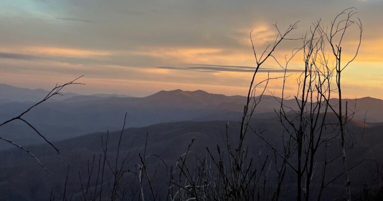 New agreement supports Forest Service and North Carolina Wildlife Resources Commission collaboration on Helene recovery