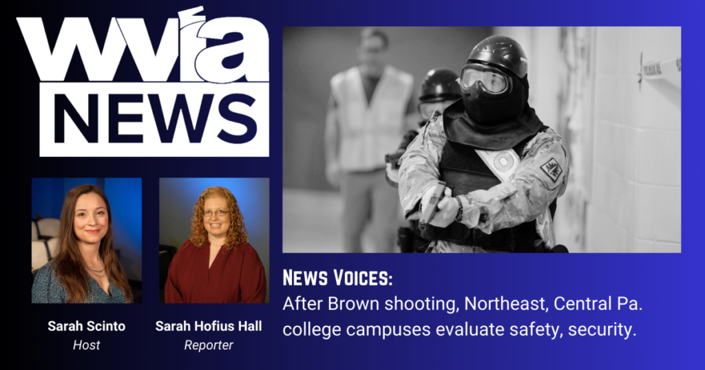 News Voices Cover Image