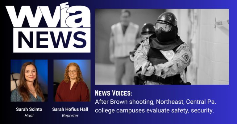 News Voices Cover Image