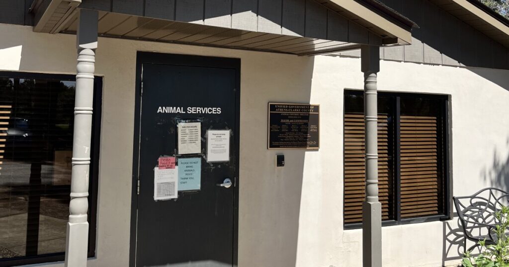 ACC Animal Services Department announces changes to shelter hours