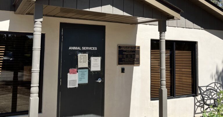 ACC Animal Services Department announces changes to shelter hours