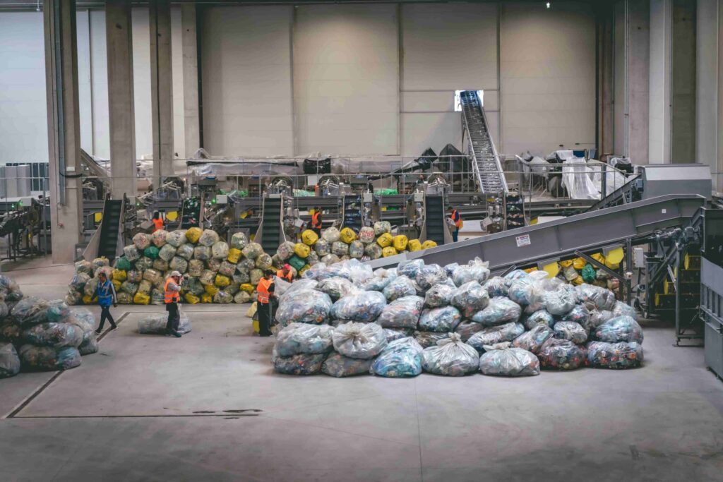 ‘In Romania now, you don’t see a bottle anywhere’