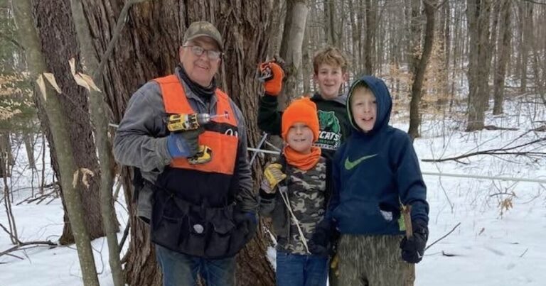 Maple syrup producers show their trees and treats as sap flows this weekend