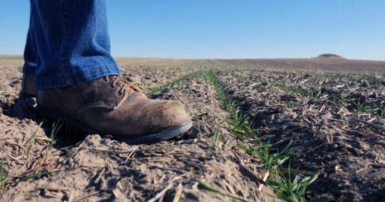 New Farm Bill advances out of committee, granting hope to some and hesitance to others