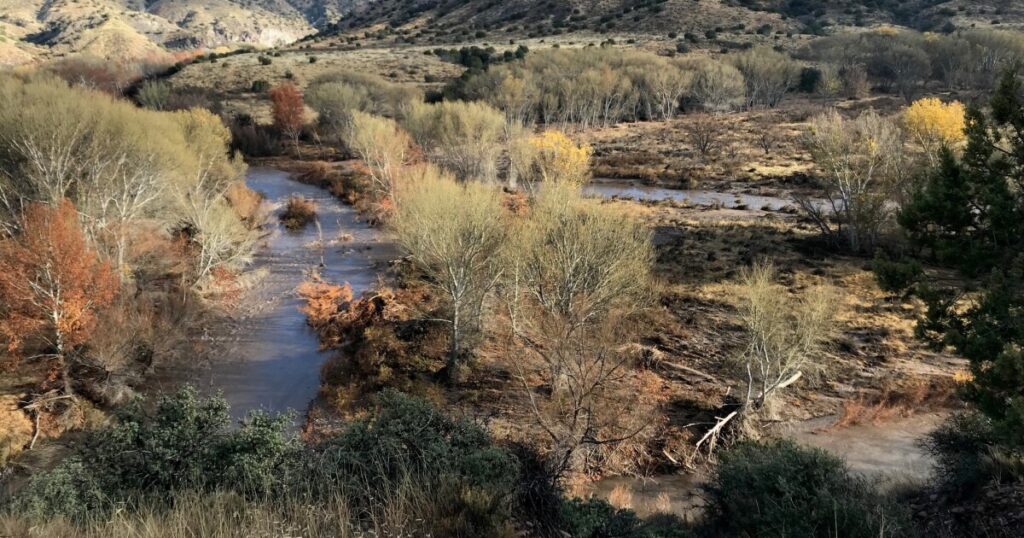 In the drought-strained Mountain West, a New Mexico river offers a glimpse of resilience, study finds