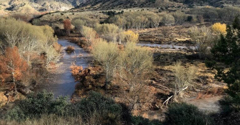 In the drought-strained Mountain West, a New Mexico river offers a glimpse of resilience, study finds