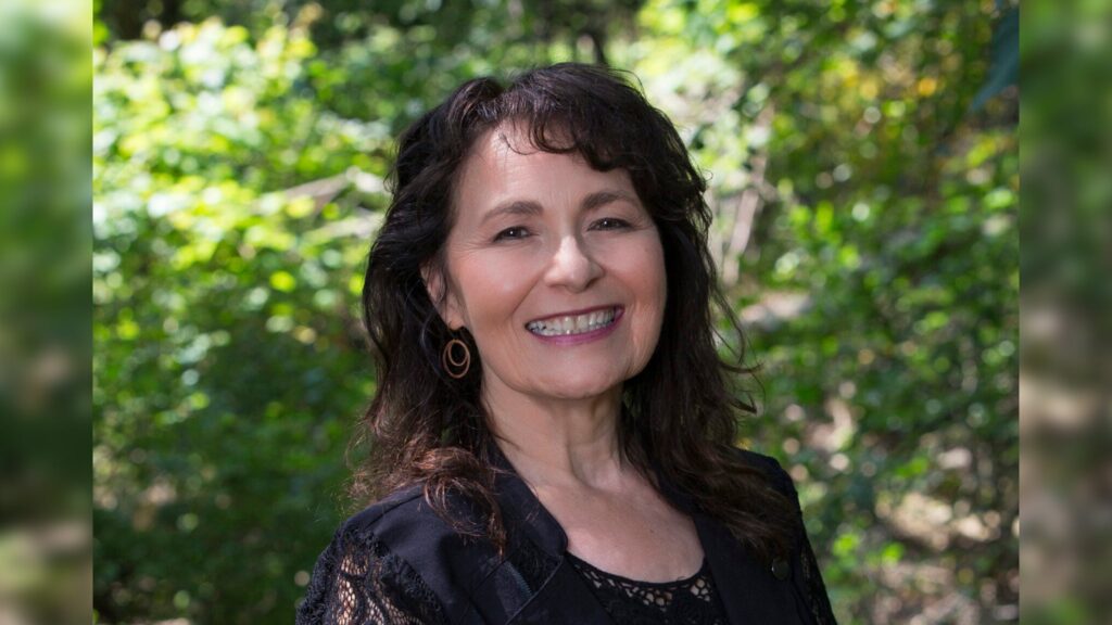 Book cover for Ancient Light: Poems by Kimberly Blaeser, featuring a blurred, abstract image of dark shapes and tree branches against a pale background.