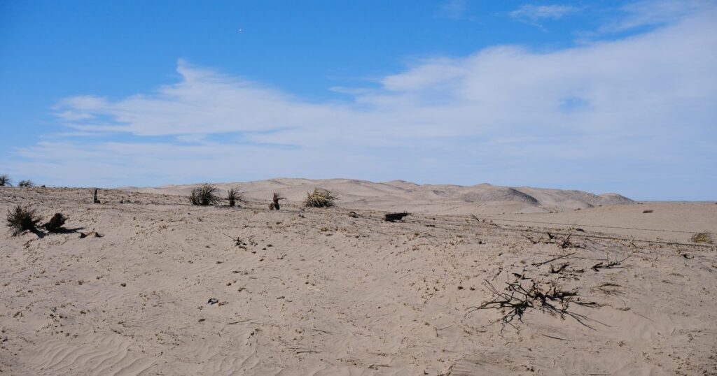 ‘It’s like a death': Grief, hope and resilience after fire ravages Nebraska Sandhills