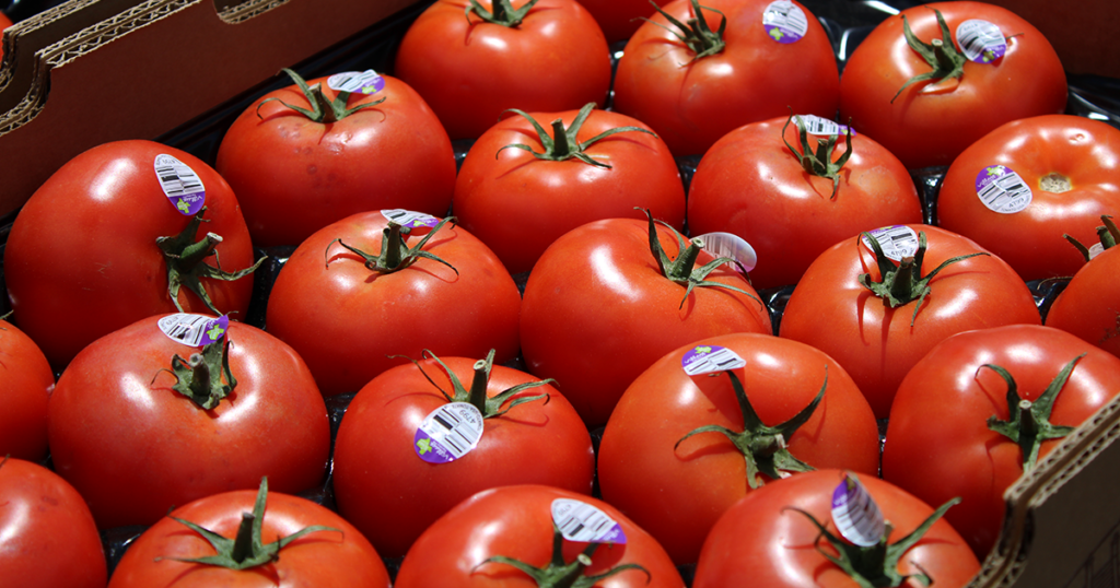 Nevada urges SNAP recipients to meet work requirements before May 1