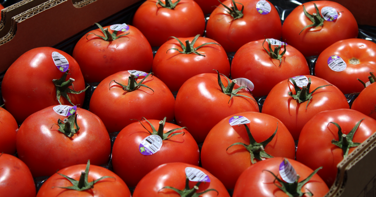 Nevada urges SNAP recipients to meet work requirements before May 1