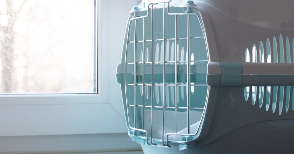 Rabid cat confirmed near Athens-Clarke and Oconee county line