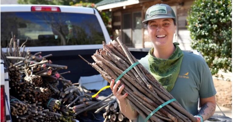 Volunteers and staff have been working long days on the French Broad, Green, Toe, and other rivers throughout the region.