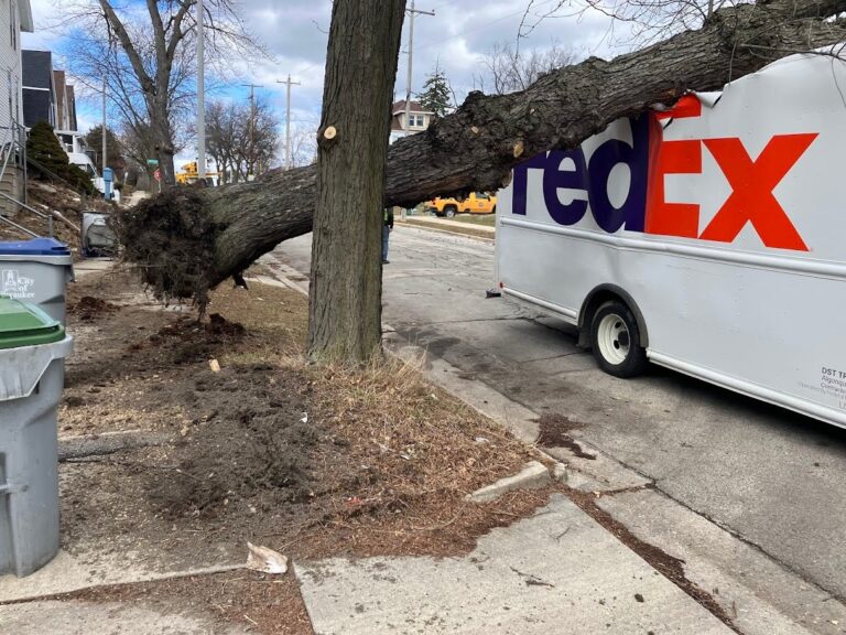 A large fallen tree has landed on top of a FedEx delivery truck parked on a residential street, uprooting the soil and partially blocking the sidewalk.