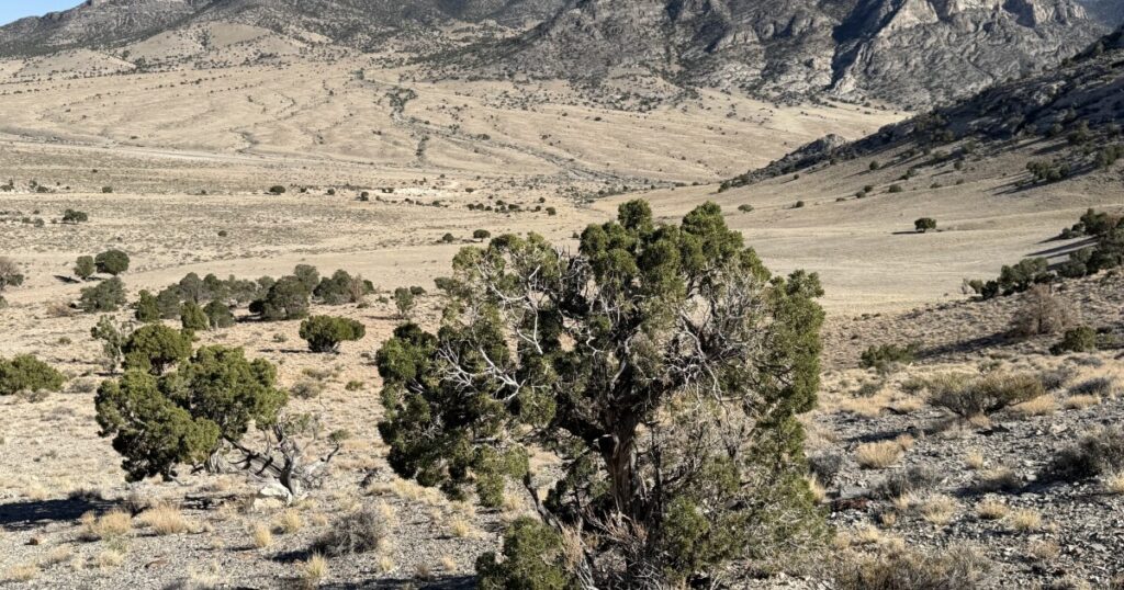 Coalition challenges groundwater pipeline as water tensions rise in the Mountain West