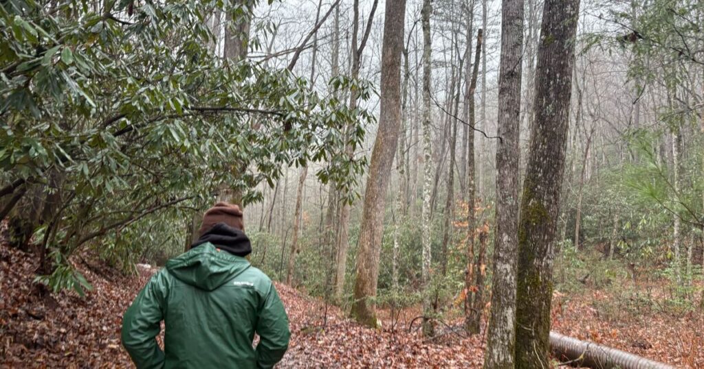 Heath Cartee guides outdoor enthusiasts into the South Mills River roadless area through his business, Pisgah Outdoors.