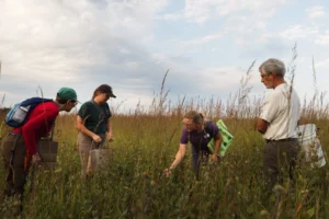 A person walks alone on a frosty field near a large leafless tree under a partly cloudy sky.