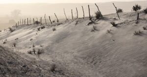 Nebraska rancher details aftermath of the Morrill Fire in personal essays