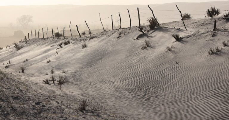 Nebraska rancher details aftermath of the Morrill Fire in personal essays