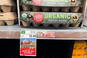 Rising hunger rates pose new risks for Republican Senate candidates