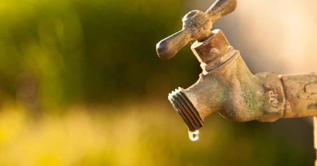 Georgia has declared a level one drought response