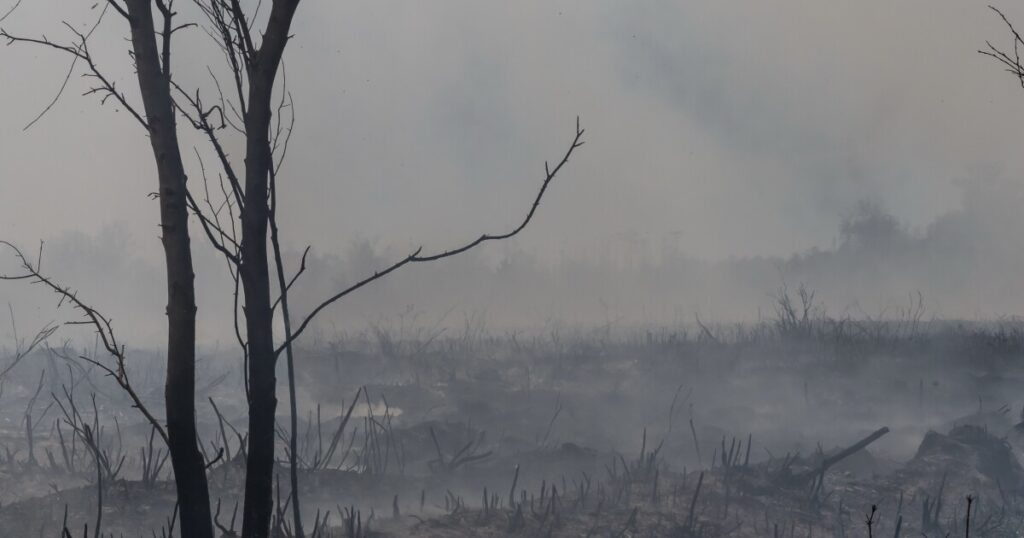 First responders gain ground in fight against the wildfires