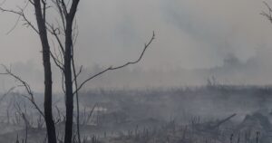 First responders gain ground in fight against the wildfires