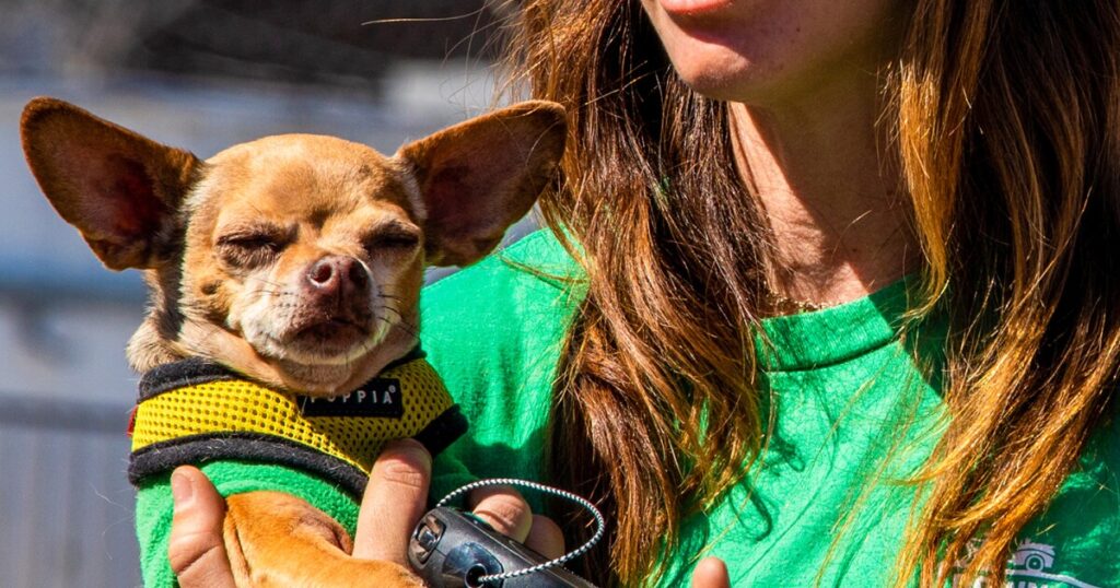 Al Aire con KUNR - 3 de abril de 2026